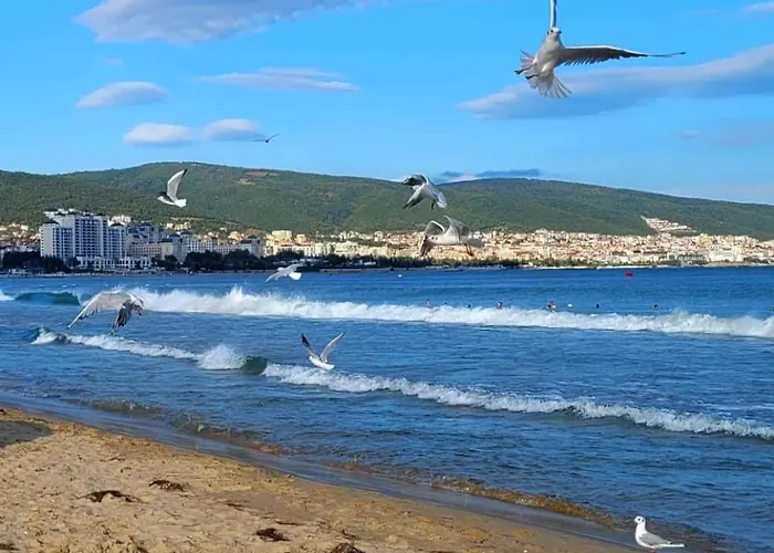 Deluxe In Cascadas Sunny * Sunny Beach