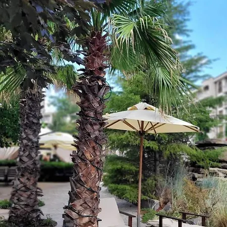 Deluxe In Cascadas Sunny * Σάνι Μπιτς